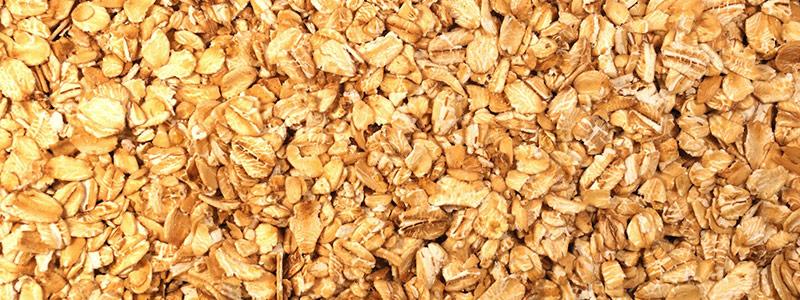 Oat protein